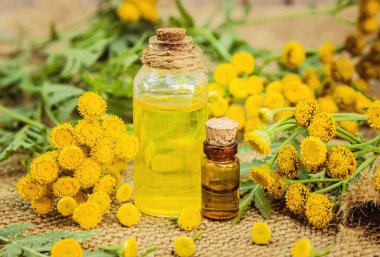 Solucan otu küçük bir kavanoza ayıklayın. Seçici odak. 