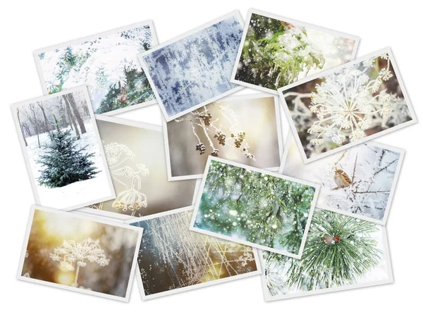 Collage de fotos de invierno. Enfoque selectivo . —  Fotos de Stock