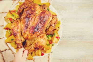 Kızarmış tavuk. Şükran günü. Seçici odak.