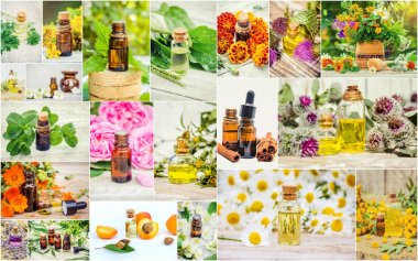 Şifalı otlar kolaj. Seçici odak.