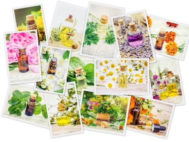 Şifalı otlar kolaj. Seçici odak.