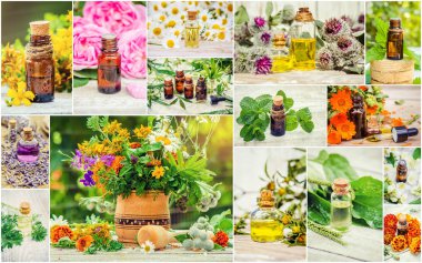 Şifalı otlar kolaj. Seçici odak.