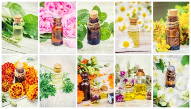 Şifalı otlar kolaj. Seçici odak.