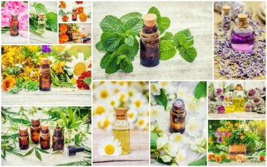 Şifalı otlar kolaj. Seçici odak.