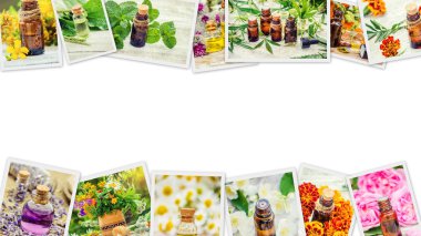 Şifalı otlar kolaj. Seçici odak.