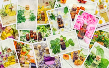 Şifalı otlar kolaj. Seçici odak.