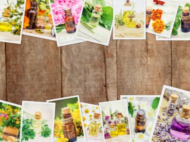 Şifalı otlar kolaj. Seçici odak.