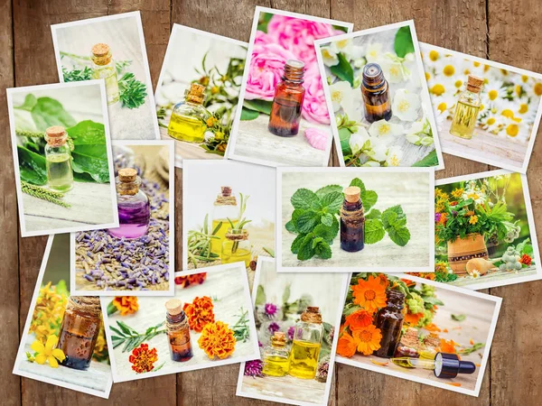 Collage de hierbas medicinales. Enfoque selectivo . — Foto de Stock