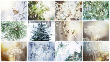 Winter photo collage. Selective focus. clipart