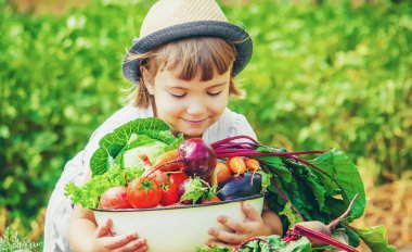 Çocuk ve çiftlikte sebze. Seçici odak. 