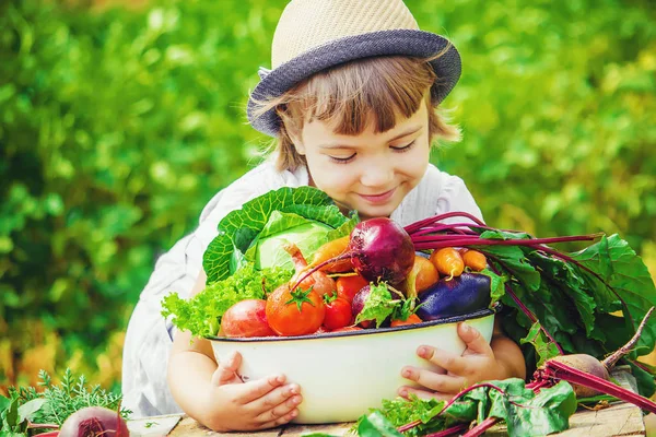 Niños Verduras Granja Enfoque Selectivo — Foto de Stock