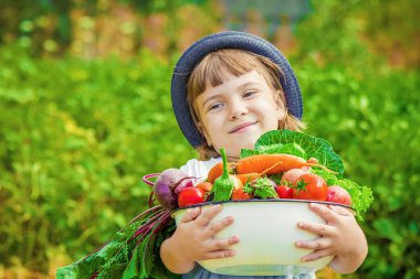 Çocuk ve çiftlikte sebze. Seçici odak. 