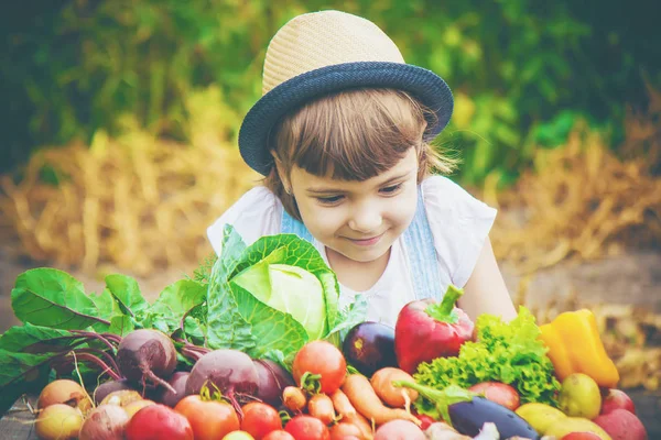 Child Vegetables Farm Selective Focus — Stock Photo, Image