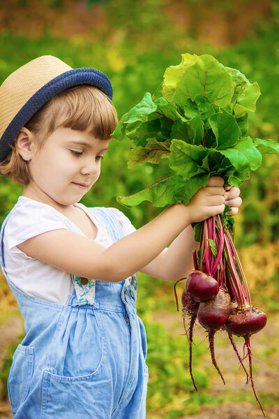 Child and vegetables on the farm. Selective focus. 