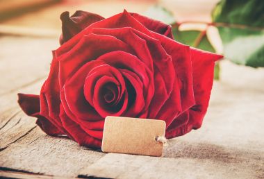 Arka plan sevgi ve romantik. Seçici odak.