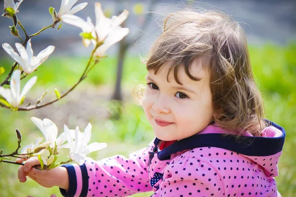 Enfant Dans Jardin Fleuri Magnolia Concentration Sélective — Photo