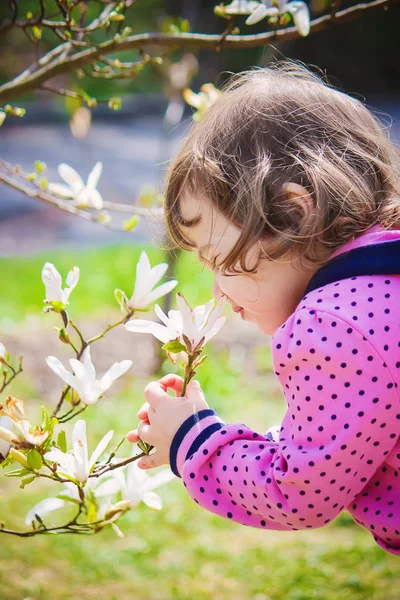 Niño Jardín Floreciente Una Magnolia Enfoque Selectivo —  Fotos de Stock