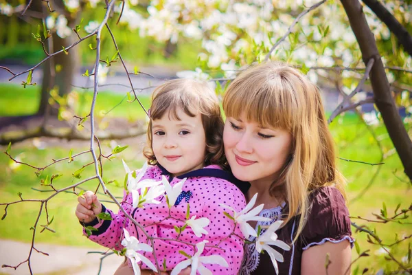 Niño Una Madre Floreciente Jardín Magnolia Enfoque Selectivo —  Fotos de Stock