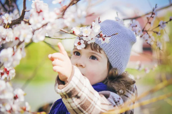 Ett Barn Blommande Trädgård Selektivt Fokus — Stockfoto