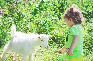 Çocuk bir keçi ile. Seçici odak. 
