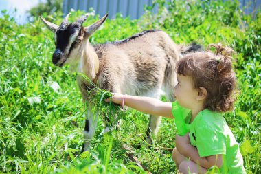 Çocuk bir keçi ile. Seçici odak. 