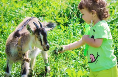 Çocuk bir keçi ile. Seçici odak. 
