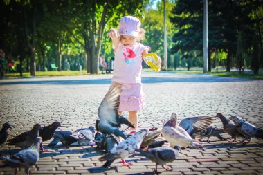 Bir çocuk güvercinler beslenir. Seçici odak.