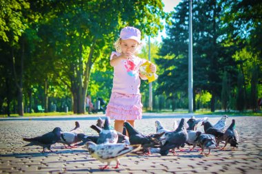 Bir çocuk güvercinler beslenir. Seçici odak.