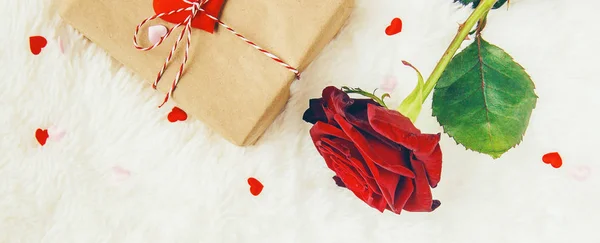Fondo Amor Día San Valentín Enfoque Selectivo — Foto de Stock