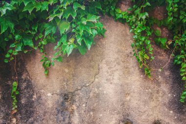 Taş dokusu. Seçici odak. 