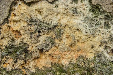 Taş dokusu. Seçici odak. 