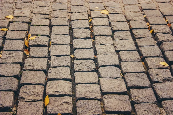 Stone Texture Selective Focus — Stock Photo, Image