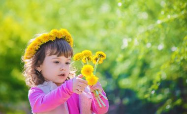 Dandelions çiçekleri olan kız. Seçici odak.