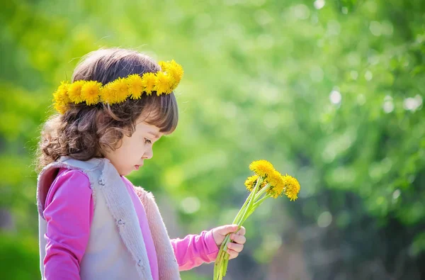 Dandelions Çiçekleri Olan Kız Seçici Odak — Stok fotoğraf