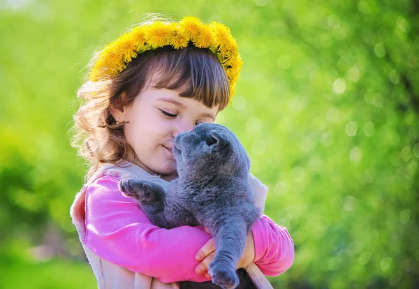 Bambino Gatto Focus Selettivo — Foto Stock