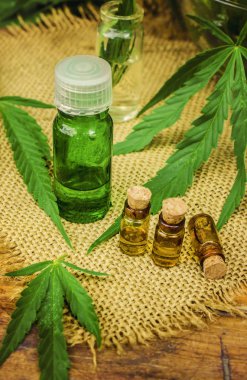 Esrar bitki ve tedavi (et suyu, tentür, özü, petrol) için bırakır. Seçici odak.