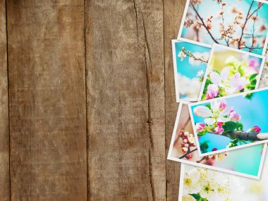 Bahar çiçekli ağaçlar. Kolaj. Seçici odak. 