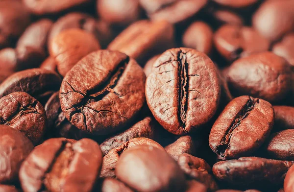 Kahve çekirdeği. Seçici odak.