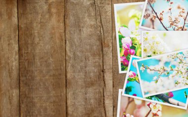 Bahar çiçekli ağaçlar. Kolaj. Seçici odak. 