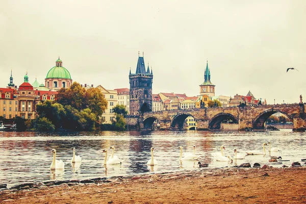 Prague Çek Cumhuriyeti Seçici Odak — Stok fotoğraf