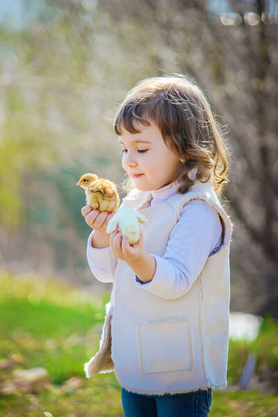 Ребенок держит курицу в руках. Девушка и птица. Селективный фокус
. 