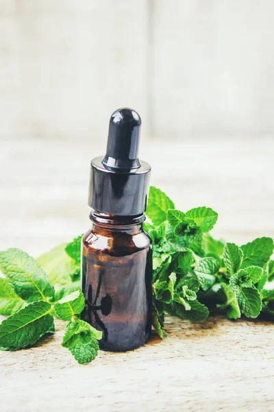 Mint Extract Geneeskrachtige Planten Selectieve Aandacht — Stockfoto