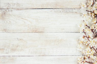 Bahar arka plan, çiçekler. Seçici odak. 