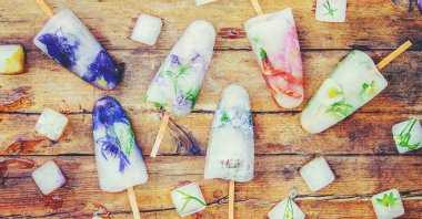 buz küpleri ve dondurma bir çubuk üzerinde donmuş çiçeklenir. seçici odak.