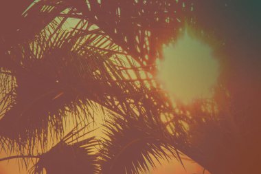 Bir avuç gökyüzü. Seçici odak.