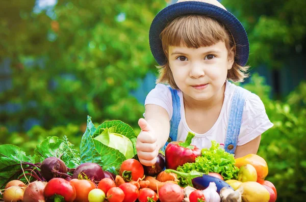 Anak Dan Sayuran Peternakan Fokus Selektif — Stok Foto