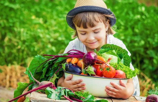 Barn Och Grönsaker Gården Selektivt Fokus — Stockfoto