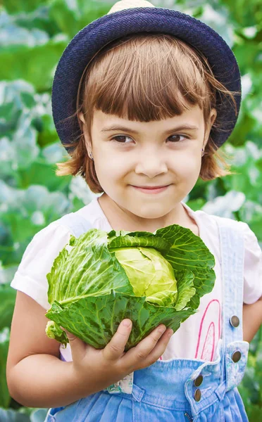 Dziecko Warzywa Farmie Selektywny Fokus — Zdjęcie stockowe