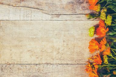 Calendula officinalis ahşap arka plan üzerinde. Seçici odak. 