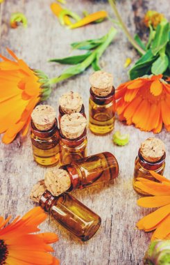 Calendula officinalis ahşap arka plan üzerinde. Seçici odak. 